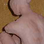 Maggie is out of there.